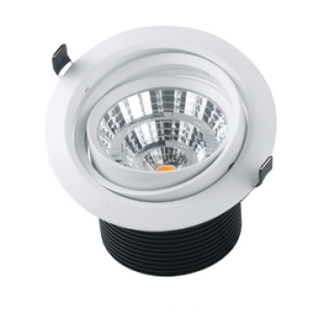 110mm diámetro 220v / 110v empotrable llevó downlights 30w